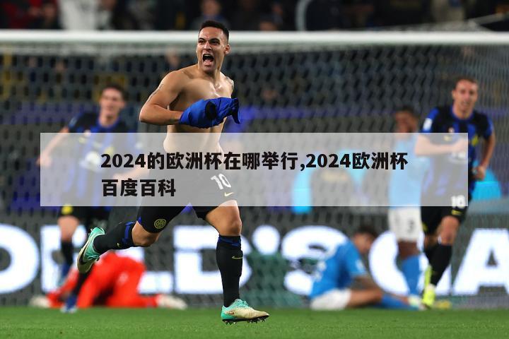 2024的欧洲杯在哪举行,2024欧洲杯百度百科