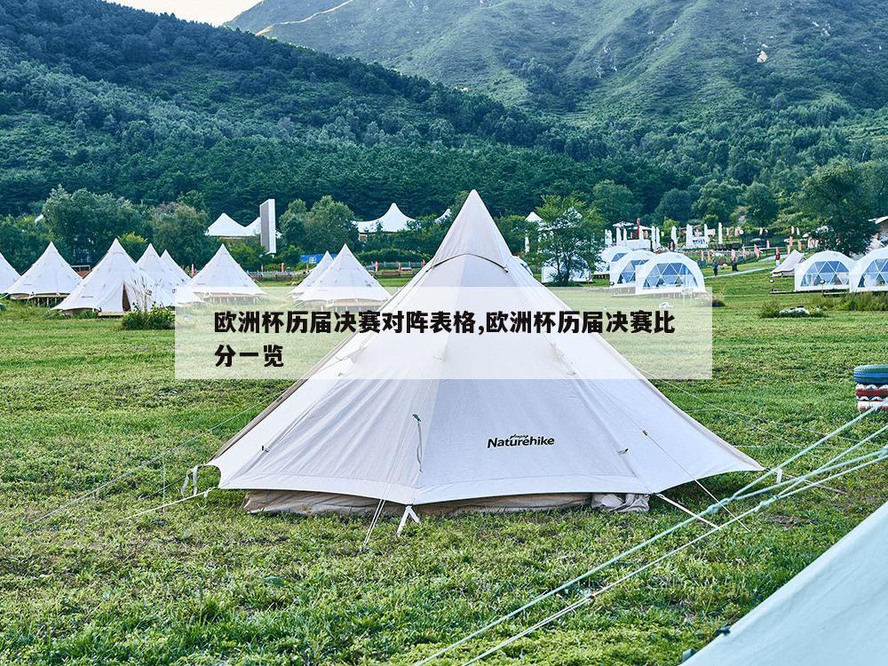 欧洲杯历届决赛对阵表格,欧洲杯历届决赛比分一览