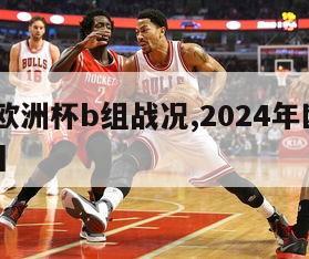 2024欧洲杯b组战况,2024年欧洲杯主办国