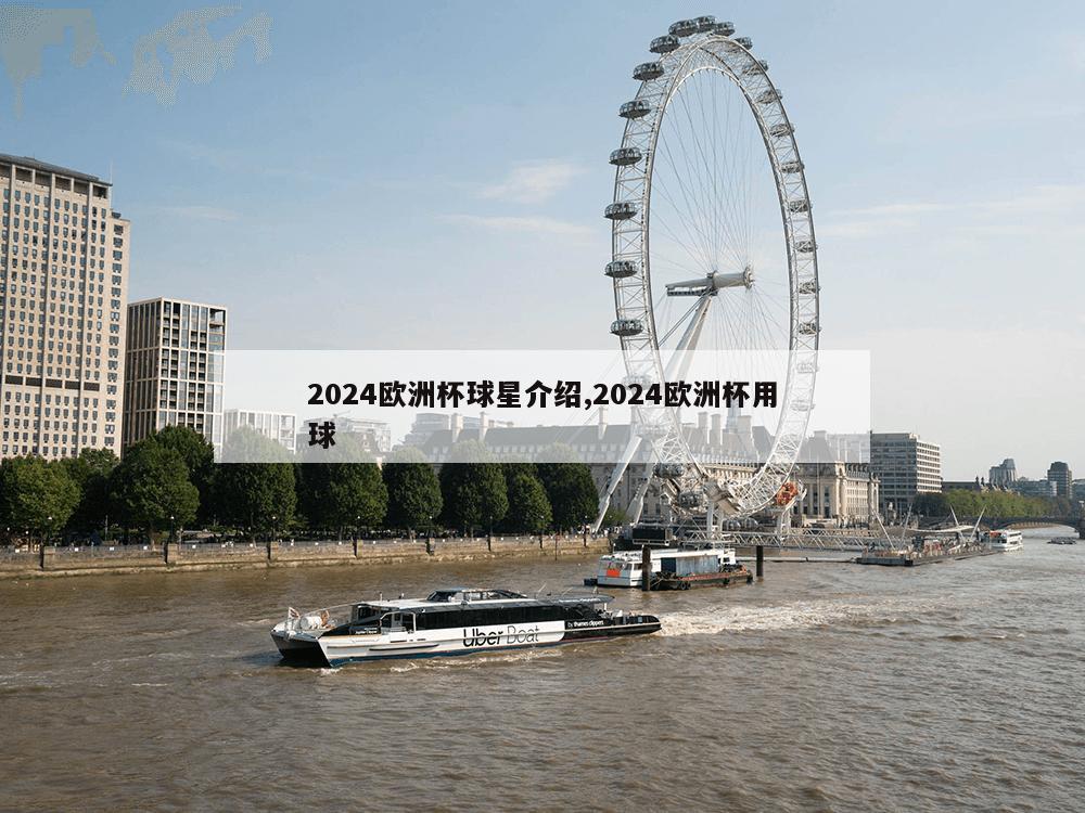 2024欧洲杯球星介绍,2024欧洲杯用球