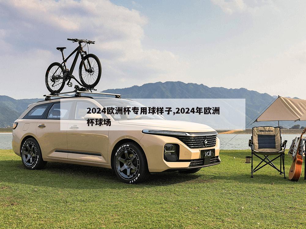 2024欧洲杯专用球样子,2024年欧洲杯球场