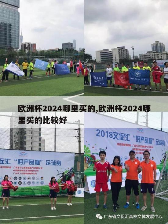 欧洲杯2024哪里买的,欧洲杯2024哪里买的比较好