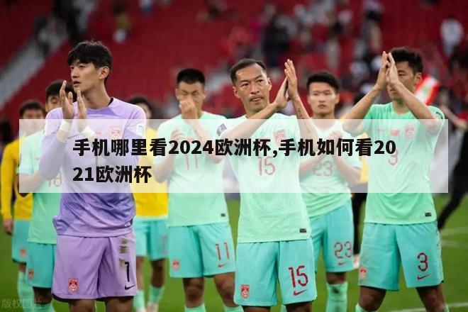 手机哪里看2024欧洲杯,手机如何看2021欧洲杯